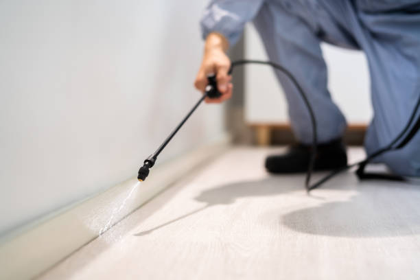 Certified termite inspector examining foundation in Algood