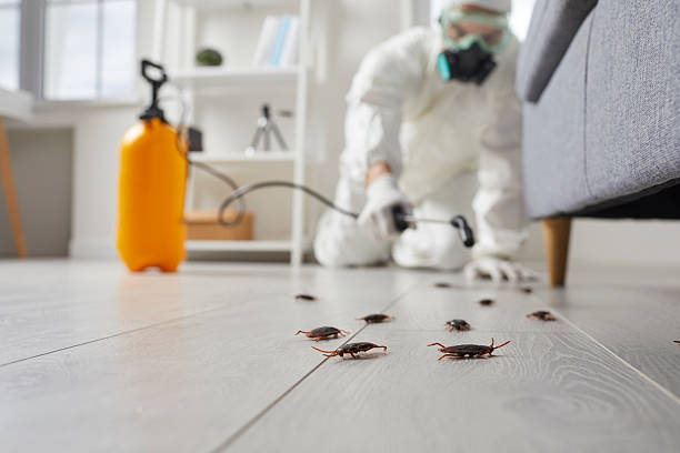 Commercial Kitchen Cockroach Control in Algood